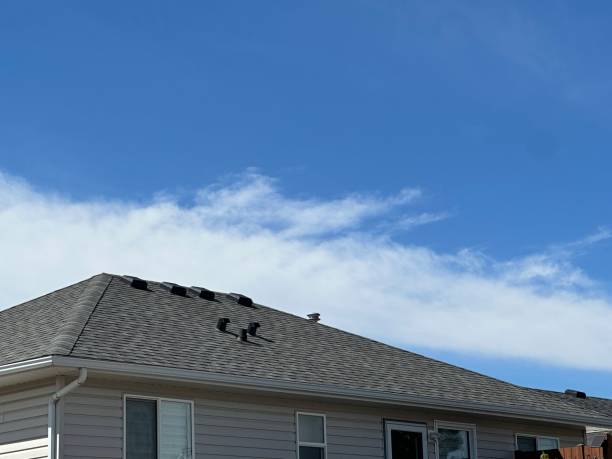 Best Asphalt Shingles Roofing  in Cumberland, WI